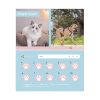 ペットシッター開業５点セット(Pet Sitter001) - 画像 (6)